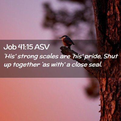 Picture 02 - Job 41:15 ASV - `His' strong scales are `his' pride, Shut up - Bible Verse Picture
