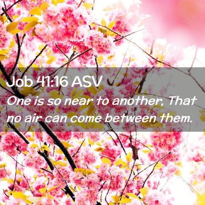 Picture 02 - Job 41:16 ASV - One is so near to another, That no air can come - Bible Verse Picture