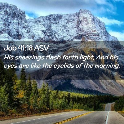 Picture 02 - Job 41:18 ASV - His sneezings flash forth light, And his eyes are - Bible Verse Picture