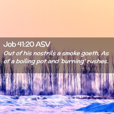Picture 02 - Job 41:20 ASV - Out of his nostrils a smoke goeth, As of a - Bible Verse Picture