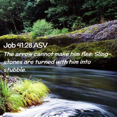 Picture 02 - Job 41:28 ASV - The arrow cannot make him flee: Sling-stones are - Bible Verse Picture