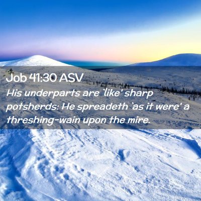 Picture 02 - Job 41:30 ASV - His underparts are `like' sharp potsherds: He - Bible Verse Picture