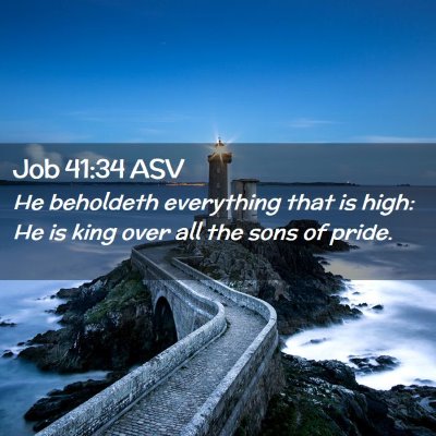 Picture 02 - Job 41:34 ASV - He beholdeth everything that is high: He is king - Bible Verse Picture