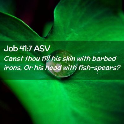 Picture 02 - Job 41:7 ASV - Canst thou fill his skin with barbed irons, Or - Bible Verse Picture