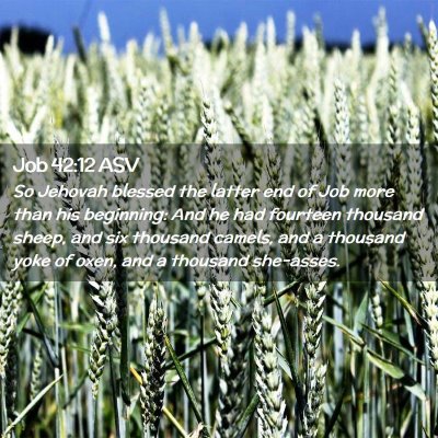 Picture 02 - Job 42:12 ASV - So Jehovah blessed the latter end of Job more - Bible Verse Picture