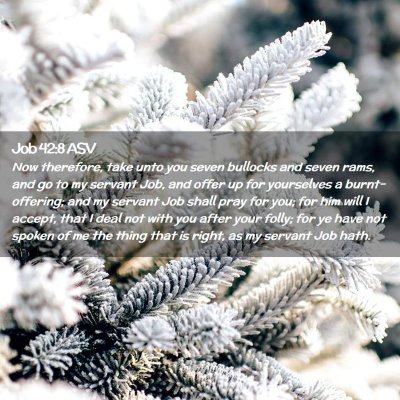 Picture 02 - Job 42:8 ASV - Now therefore, take unto you seven bullocks and - Bible Verse Picture