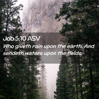 Picture 02 - Job 5:10 ASV - Who giveth rain upon the earth, And sendeth - Bible Verse Picture