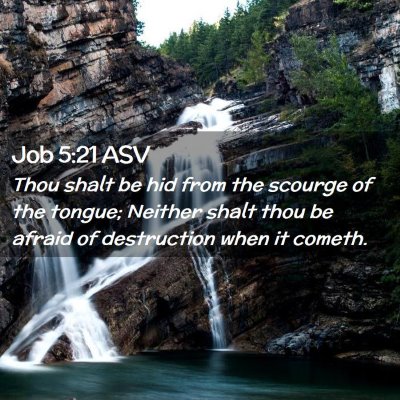 Picture 02 - Job 5:21 ASV - Thou shalt be hid from the scourge of the tongue; - Bible Verse Picture
