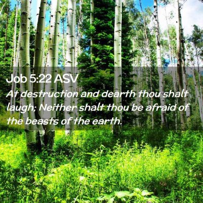 Picture 02 - Job 5:22 ASV - At destruction and dearth thou shalt laugh; - Bible Verse Picture