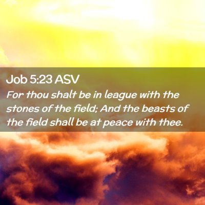 Picture 02 - Job 5:23 ASV - For thou shalt be in league with the stones of - Bible Verse Picture