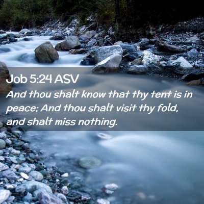 Picture 02 - Job 5:24 ASV - And thou shalt know that thy tent is in peace; - Bible Verse Picture