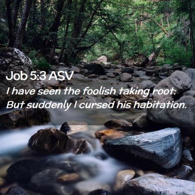 Picture 02 - Job 5:3 ASV - I have seen the foolish taking root: But suddenly - Bible Verse Picture