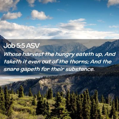 Picture 02 - Job 5:5 ASV - Whose harvest the hungry eateth up, And taketh it - Bible Verse Picture