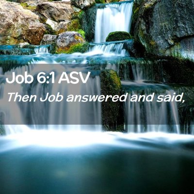 Picture 02 - Job 6:1 ASV - Then Job answered and - Bible Verse Picture