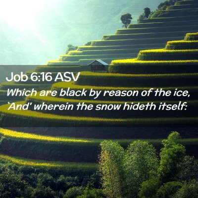 Picture 02 - Job 6:16 ASV - Which are black by reason of the ice, `And' - Bible Verse Picture