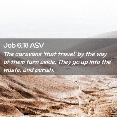 Picture 02 - Job 6:18 ASV - The caravans `that travel' by the way of them - Bible Verse Picture