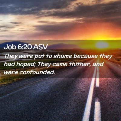 Picture 02 - Job 6:20 ASV - They were put to shame because they had hoped; - Bible Verse Picture