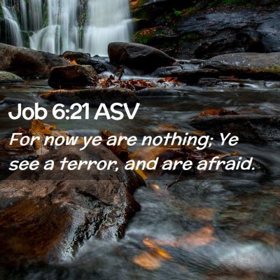 Picture 02 - Job 6:21 ASV - For now ye are nothing; Ye see a terror, and are - Bible Verse Picture