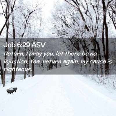 Picture 02 - Job 6:29 ASV - Return, I pray you, let there be no injustice; - Bible Verse Picture