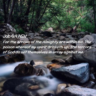 Picture 02 - Job 6:4 ASV - For the arrows of the Almighty are within me, The - Bible Verse Picture