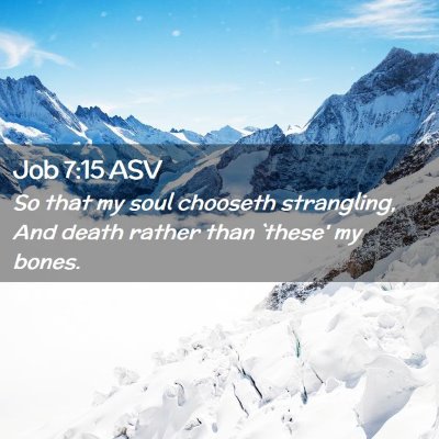 Picture 02 - Job 7:15 ASV - So that my soul chooseth strangling, And death - Bible Verse Picture