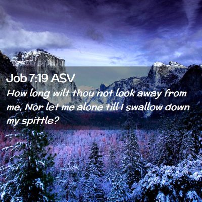 Picture 02 - Job 7:19 ASV - How long wilt thou not look away from me, Nor let - Bible Verse Picture