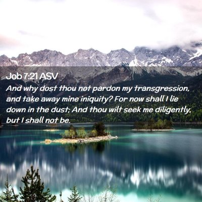Picture 02 - Job 7:21 ASV - And why dost thou not pardon my transgression, - Bible Verse Picture