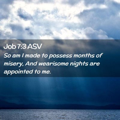 Picture 02 - Job 7:3 ASV - So am I made to possess months of misery, And - Bible Verse Picture