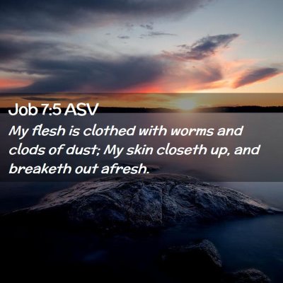 Picture 02 - Job 7:5 ASV - My flesh is clothed with worms and clods of dust; - Bible Verse Picture