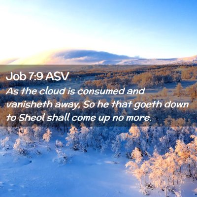 Picture 02 - Job 7:9 ASV - As the cloud is consumed and vanisheth away, So - Bible Verse Picture
