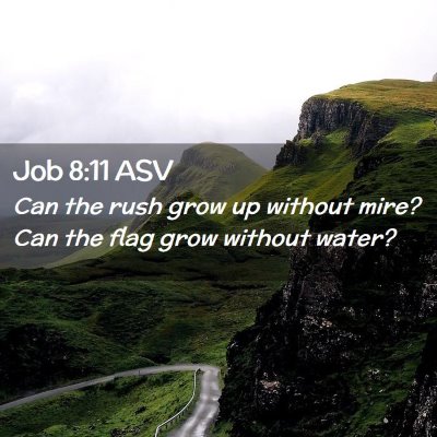 Picture 02 - Job 8:11 ASV - Can the rush grow up without mire? Can the flag - Bible Verse Picture