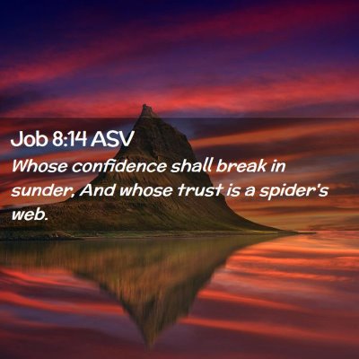 Picture 02 - Job 8:14 ASV - Whose confidence shall break in sunder, And whose - Bible Verse Picture