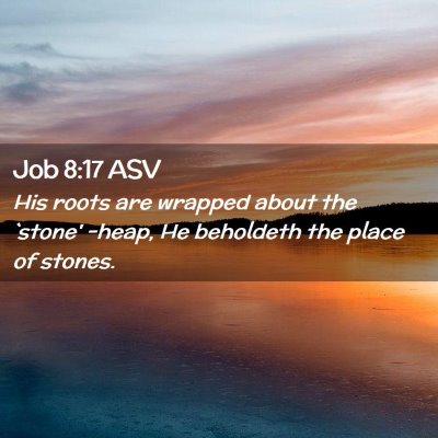 Picture 02 - Job 8:17 ASV - His roots are wrapped about the `stone' -heap, He - Bible Verse Picture