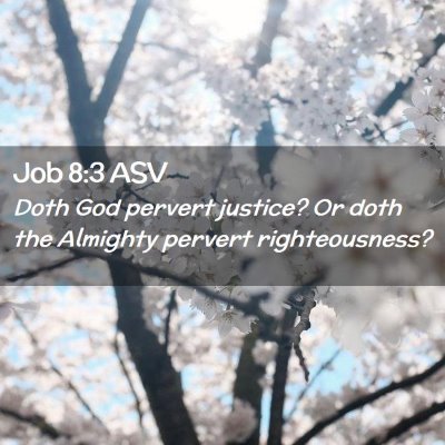 Picture 02 - Job 8:3 ASV - Doth God pervert justice? Or doth the Almighty - Bible Verse Picture