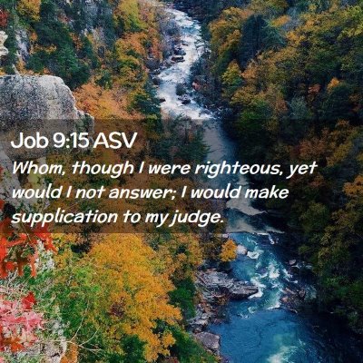 Picture 02 - Job 9:15 ASV - Whom, though I were righteous, yet would I not - Bible Verse Picture
