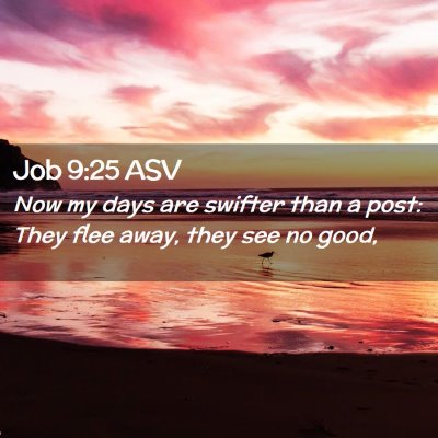 Picture 02 - Job 9:25 ASV - Now my days are swifter than a post: They flee - Bible Verse Picture