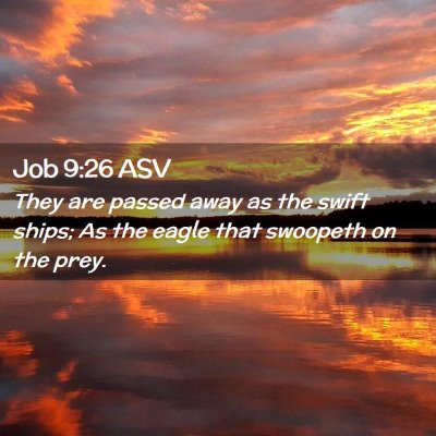 Picture 02 - Job 9:26 ASV - They are passed away as the swift ships; As the - Bible Verse Picture