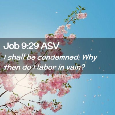 Picture 02 - Job 9:29 ASV - I shall be condemned; Why then do I labor in - Bible Verse Picture