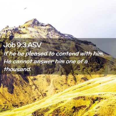 Picture 02 - Job 9:3 ASV - If he be pleased to contend with him, He cannot - Bible Verse Picture