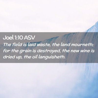 Picture 02 - Joel 1:10 ASV - The field is laid waste, the land mourneth; for - Bible Verse Picture