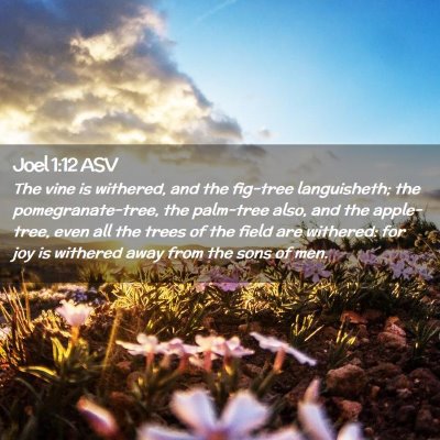 Picture 02 - Joel 1:12 ASV - The vine is withered, and the fig-tree - Bible Verse Picture