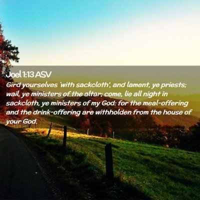Picture 02 - Joel 1:13 ASV - Gird yourselves `with sackcloth', and lament, ye - Bible Verse Picture