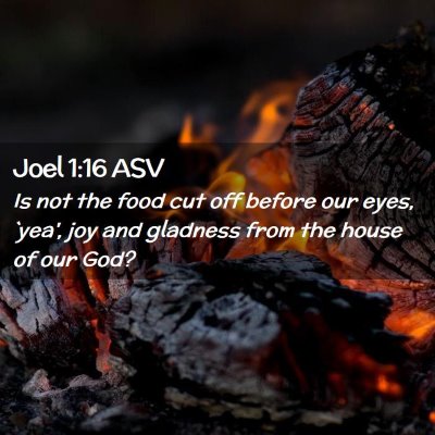 Picture 02 - Joel 1:16 ASV - Is not the food cut off before our eyes, `yea', - Bible Verse Picture