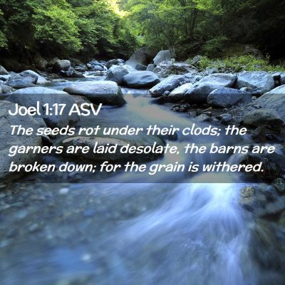 Picture 02 - Joel 1:17 ASV - The seeds rot under their clods; the garners are - Bible Verse Picture