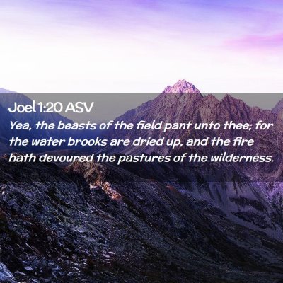 Picture 02 - Joel 1:20 ASV - Yea, the beasts of the field pant unto thee; for - Bible Verse Picture