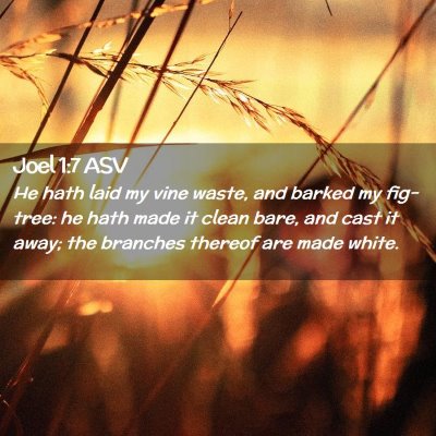 Picture 02 - Joel 1:7 ASV - He hath laid my vine waste, and barked my - Bible Verse Picture