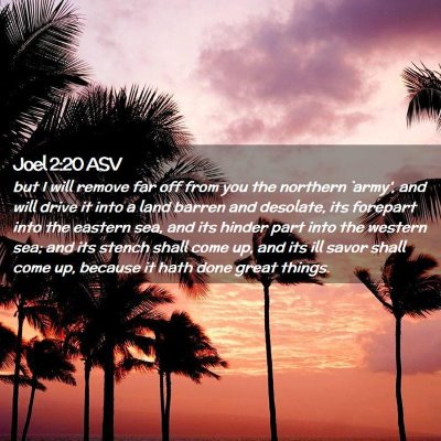 Picture 02 - Joel 2:20 ASV - but I will remove far off from you the northern - Bible Verse Picture