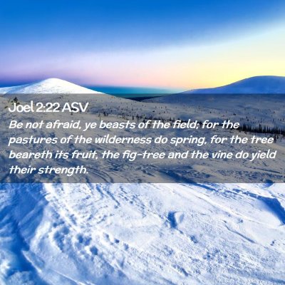 Picture 02 - Joel 2:22 ASV - Be not afraid, ye beasts of the field; for the - Bible Verse Picture