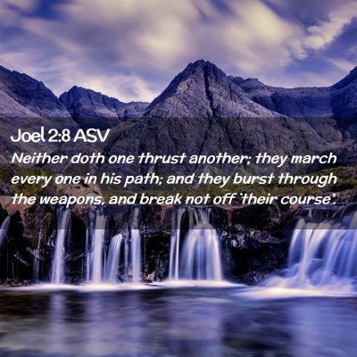 Picture 02 - Joel 2:8 ASV - Neither doth one thrust another; they march every - Bible Verse Picture