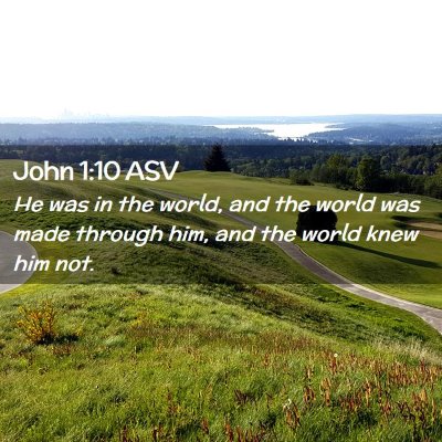 Picture 02 - John 1:10 ASV - He was in the world, and the world was made - Bible Verse Picture